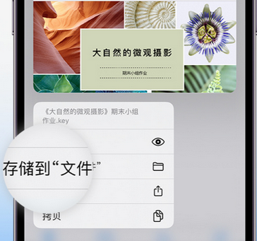 开江apple维修中心分享iPhone文件应用中存储和找到下载文件