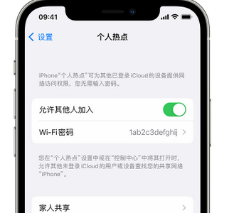 开江apple服务站点分享iPhone上个人热点丢失了怎么办