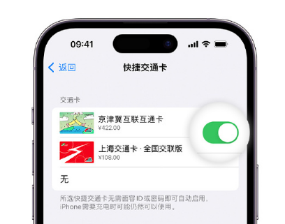 开江apple维修点分享iPhone上更换Apple Pay快捷交通卡手绘卡面 