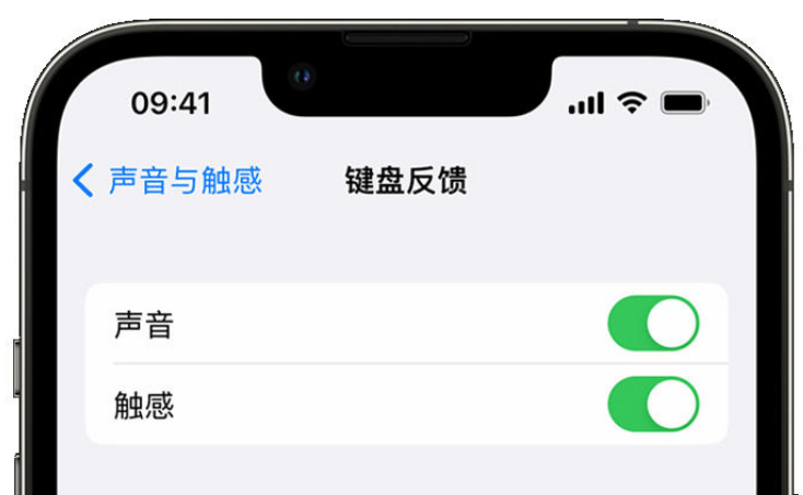 开江苹果手机维修分享iPhone 14触感键盘使用方法 