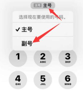 开江苹果14维修店分享iPhone 14 Pro Max使用副卡打电话的方法 