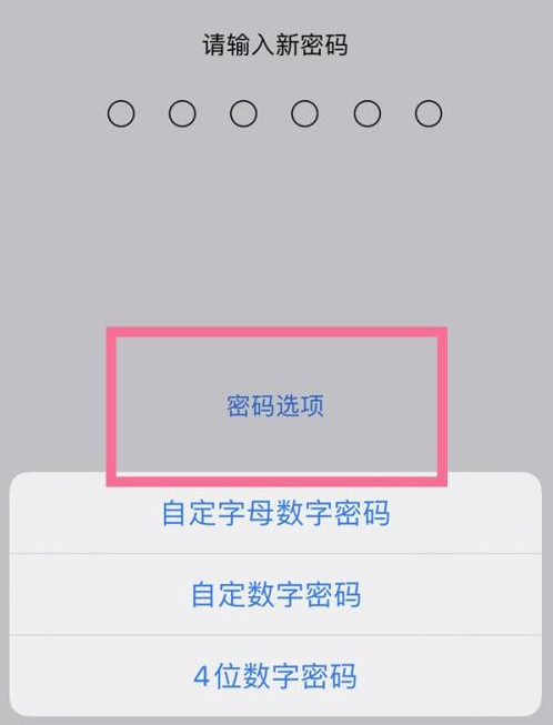 开江苹果14维修分享iPhone 14plus设置密码的方法 