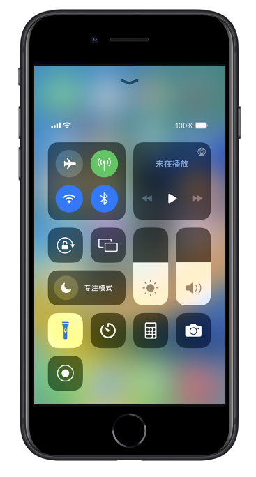 开江苹果14维修分享苹果iPhone 14 Pro手电筒开启方法 