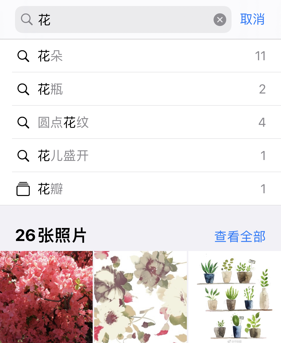 开江苹果手机维修分享iPhone 小技巧 