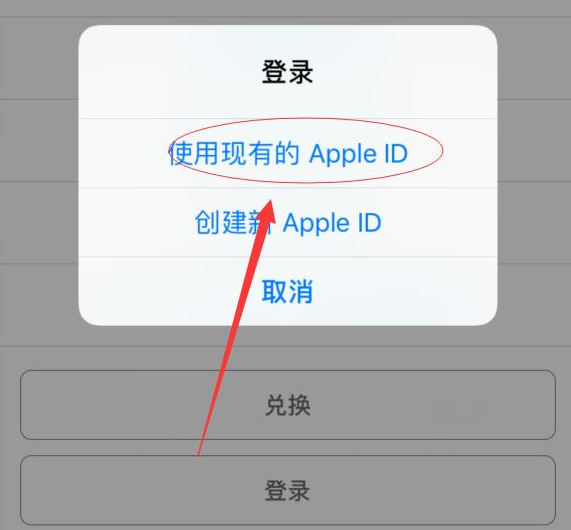 开江苹果手机维修分享两台iPhone设备可以同时登录一个Apple ID吗 