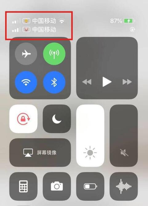 开江苹果手机维修分享为 iPhone 12 双卡设置标签 